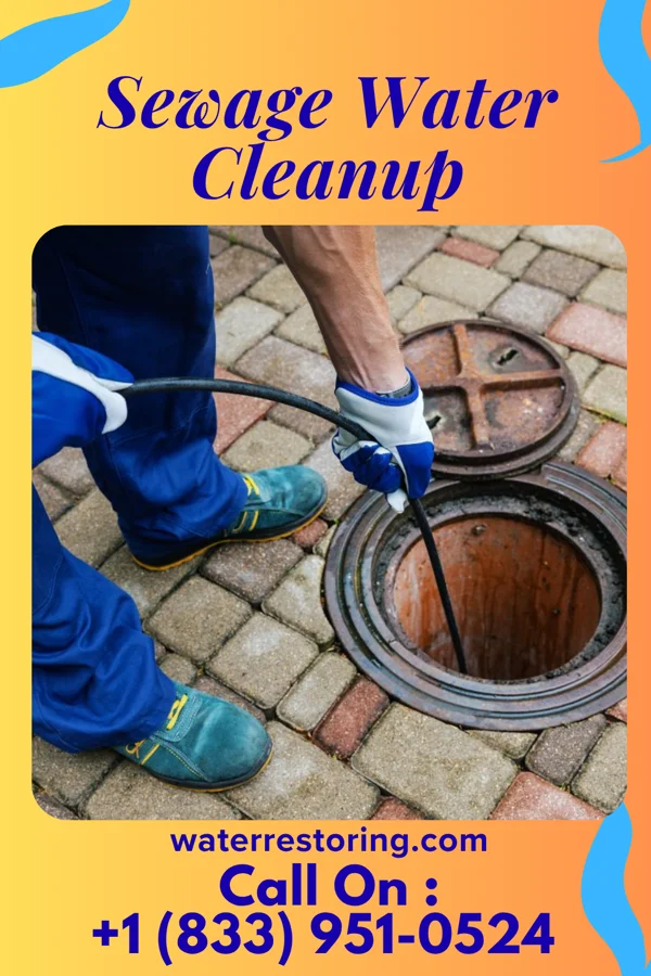 Sewage Water Cleanup in Wingate, NC