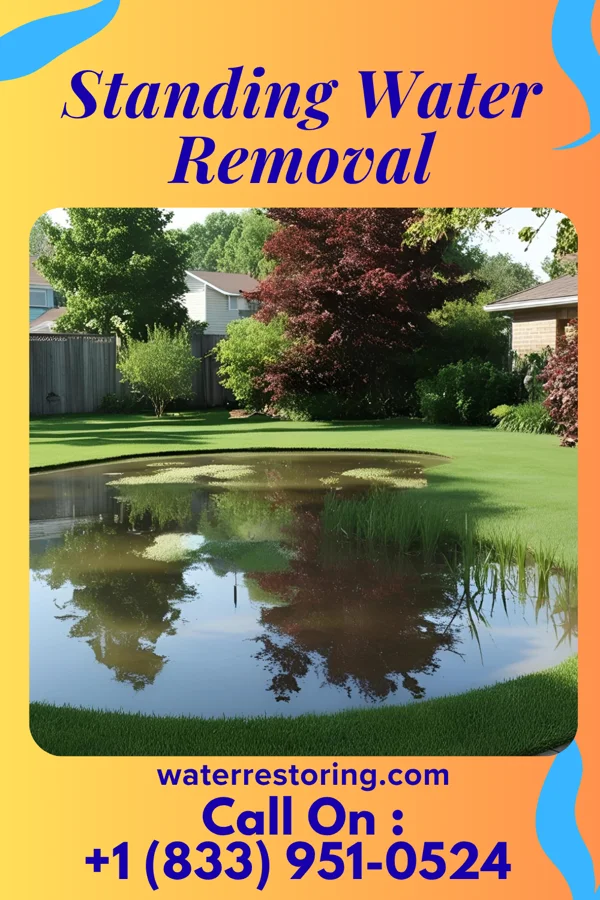 Standing Water Removal in Wingate, NC